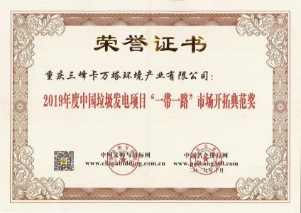 中國垃圾發(fā)電項(xiàng)目“一帶一路”市場開拓典范獎